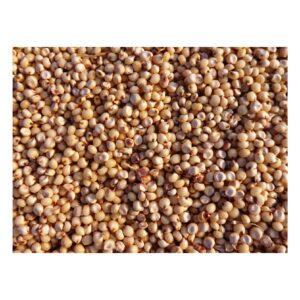 Sorghum/Milo Grain