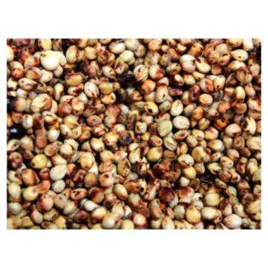 Sorghum/Milo Grain – Dry Rolled