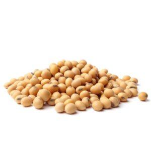Soybeans – Whole Raw