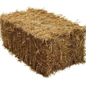 Straw Wheat – 5% CP 79% NDF