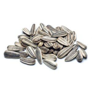 Sunflower Seed – 20% CP 40% EE