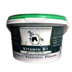 Vitamin B1 – Thiamine (Herbs for Horses)