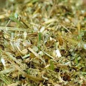 Wheat Silage – 12% CP 58% NDF