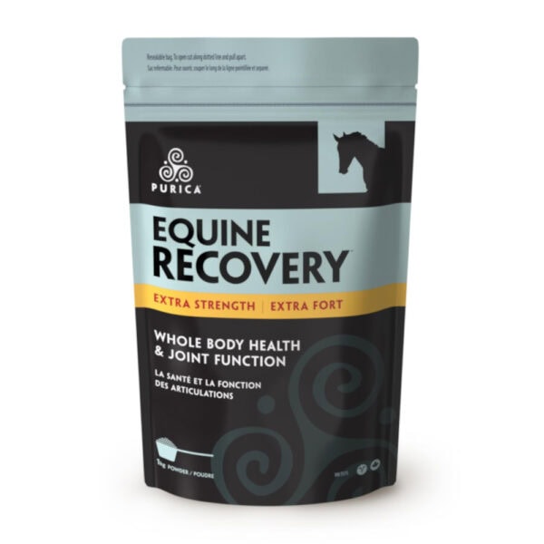 Equine Recovery Extra Strength (Purica)