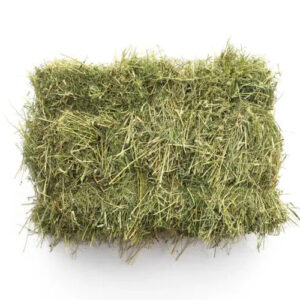 Hay Grass – 10% CP 67% NDF