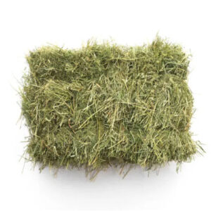 Hay Grass – 16% CP 55% NDF