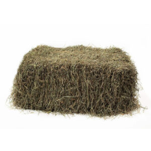 Hay Orchard – 13% CP 59% NDF