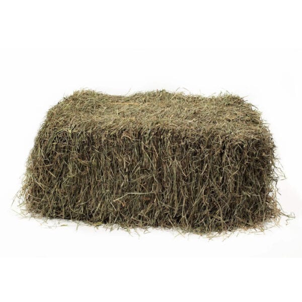 Hay Orchard – 13% CP 59% NDF