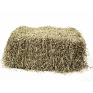 Hay Timothy – 11% CP 61% NDF