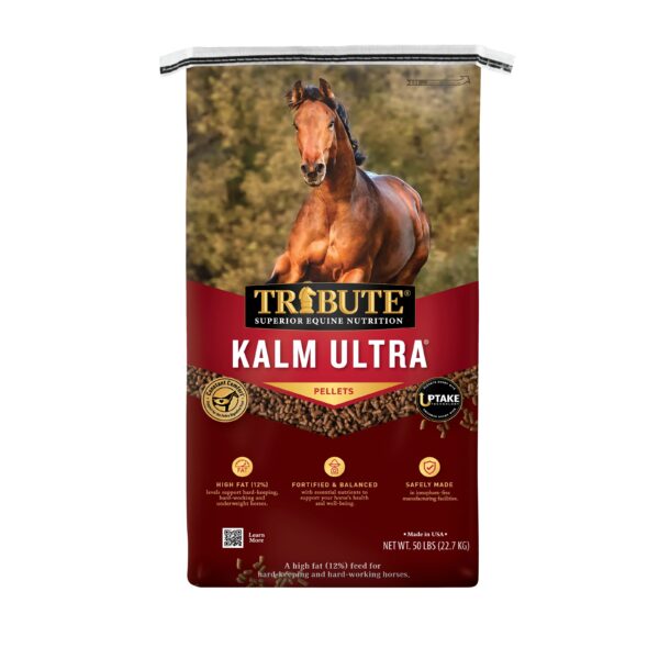 Kalm Ultra (Tribute Equine)