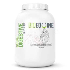 Natural Digestive Support – BioEquine Supplement