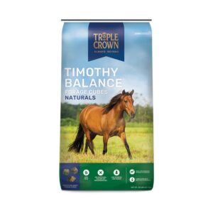 Naturals Timothy Balance Cubes (Triple Crown)