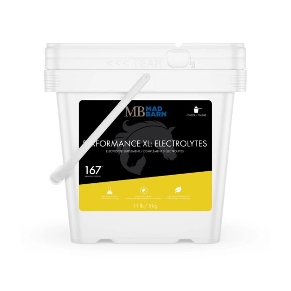 Performance XL: Electrolytes (Mad Barn)