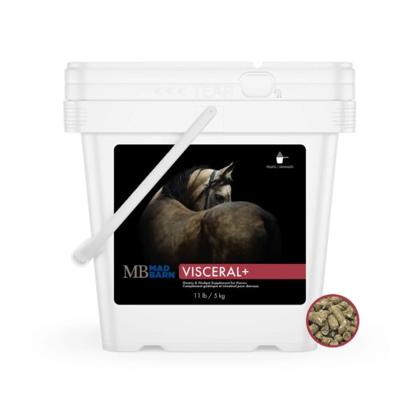 Visceral+ (Mad Barn)