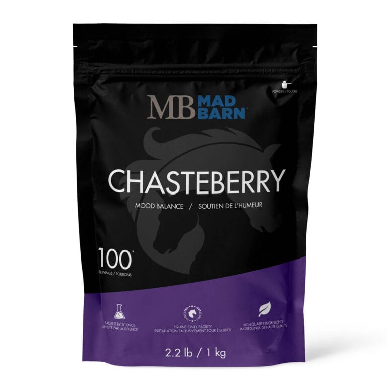 Chasteberry Herb - Horse Supplement - Hormone and Mood - Mad Barn Equine