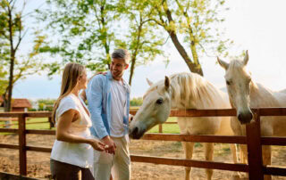 benefits-of-vitamin-e-for-horses