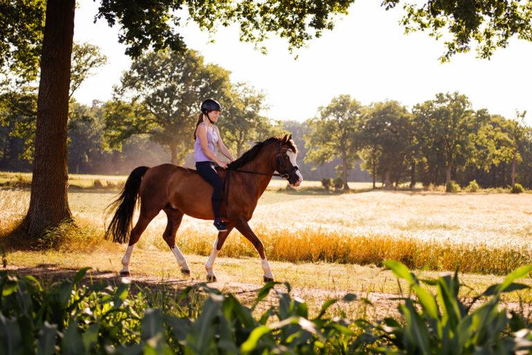 Omega-3 Benefits for Horses