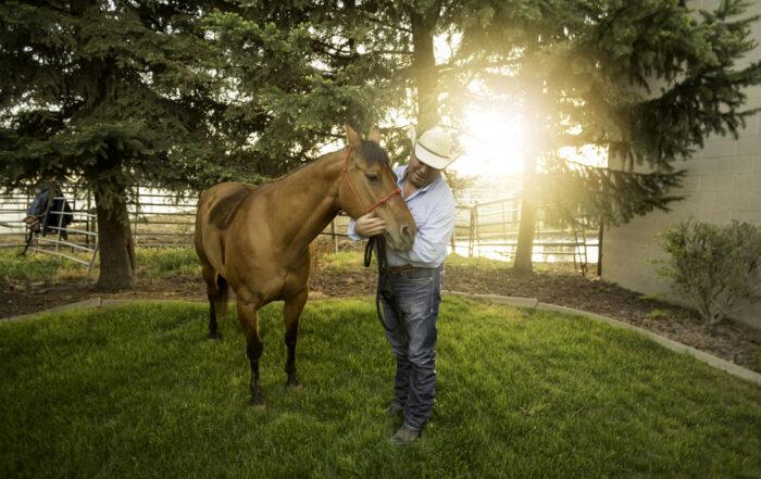 Spirulina Benefits for Horses
