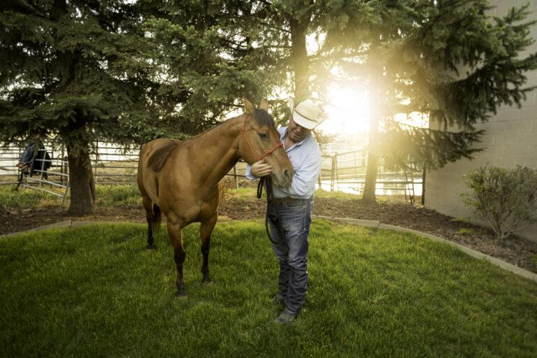 Spirulina Benefits for Horses