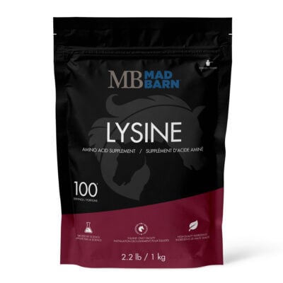 L-Lysine Equine Supplement - Mad Barn