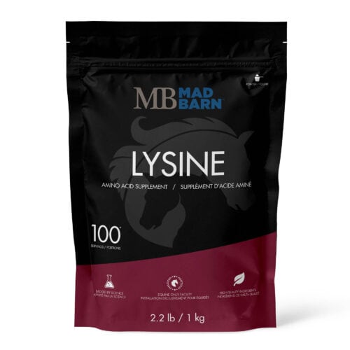 Lysine Powder - Horse Supplement - Amino Acid - Mad Barn Equine