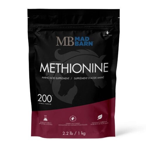 Methionine - Horse Supplement - Pure Amino Acid - Mad Barn