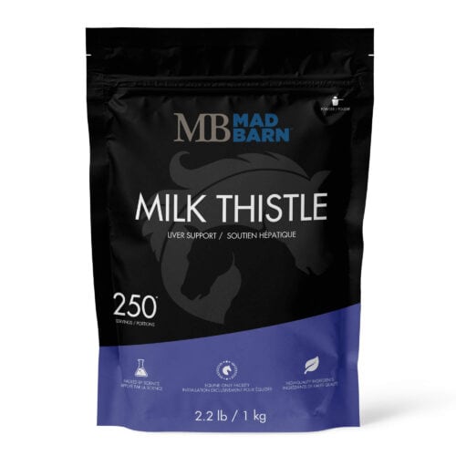 Milk Thistle Powder - Horse Supplement - Mad Barn Equine