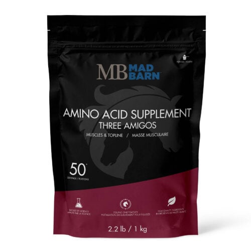 Three Amigos - Amino Acid Supplement - Equine Supplement - Mad Barn