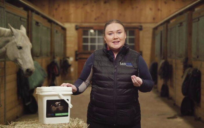 AminoTrace+ Mineral & Vitamin For Metabolic Horses