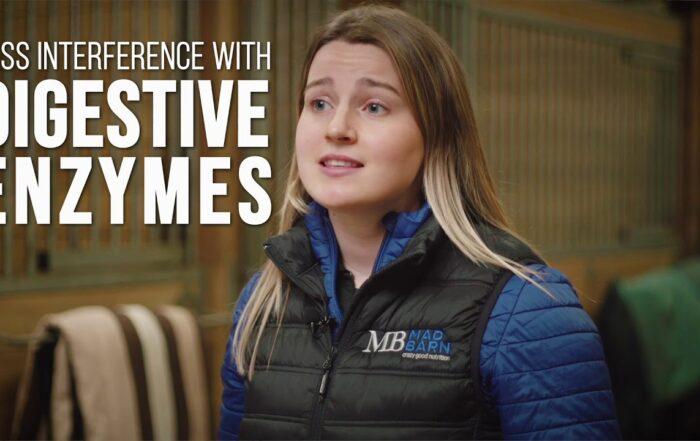 Omneity – Mineral & Vitamin Supplement for Horses [Video]