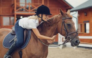 Zinc Benefits for Horses