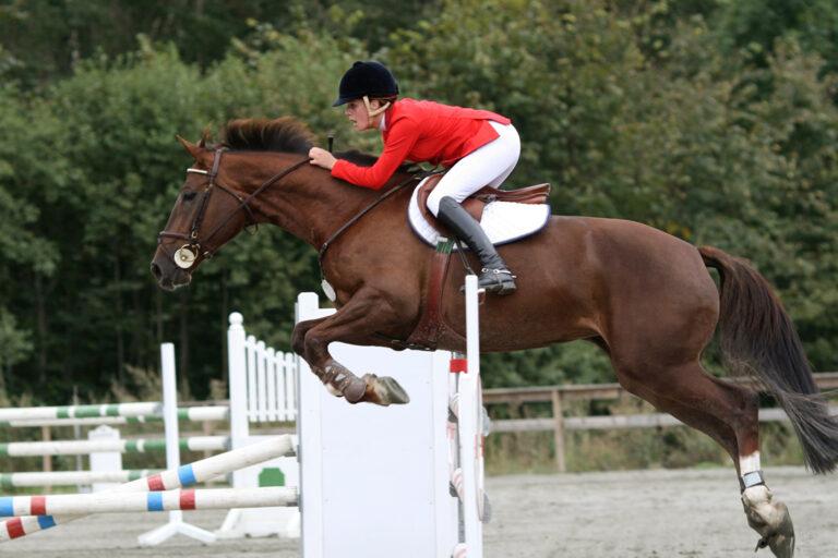 Amino Acids for Horses