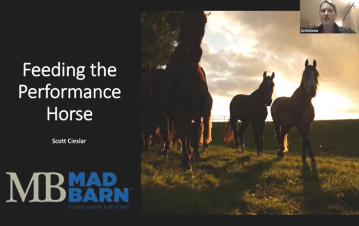 Feeding the Performance Horse with Scott Cieslar [OCTRA Horse Talk]