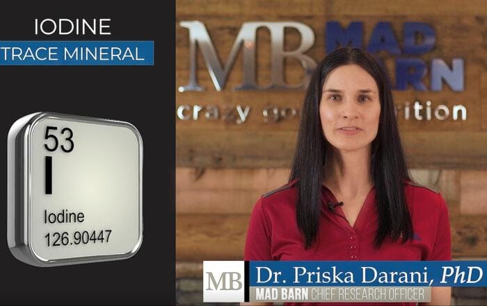 Iodine for Horses  – Uses, Signs of Deficiency & Requirements – Equine Supplements