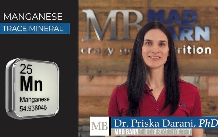 Manganese for Horses  – Uses, Signs of Deficiency & Requirements – Equine Nutrition