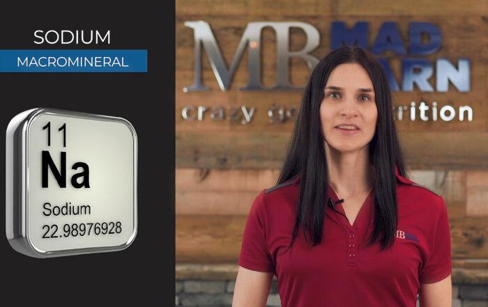 Sodium for Horses – Requirements, Functions & Signs of Deficiency – Equine Nutrition