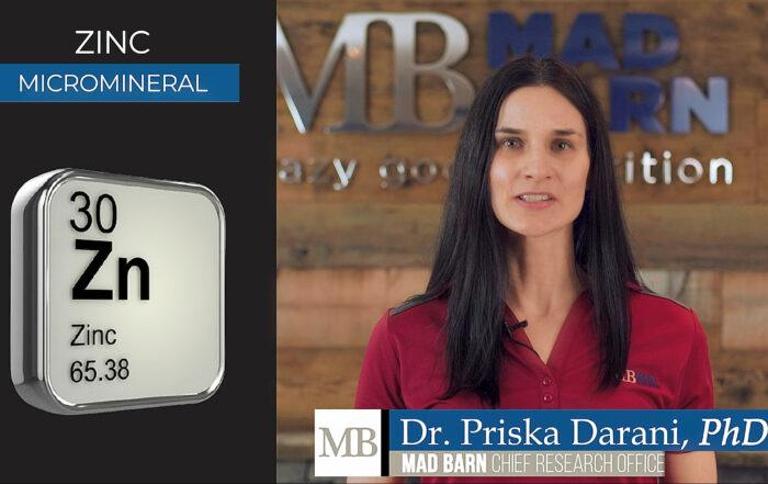 Zinc for Horses – Benefits, Requirement & Supplementation