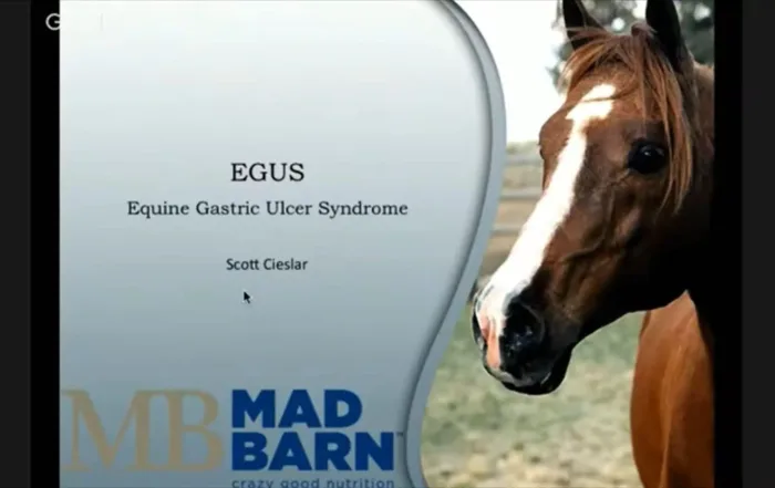 Equine Gastric Ulcer Syndrome in Horses with Scott Cieslar