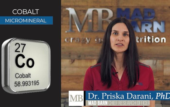 Cobalt for Horses – Uses, Signs of Deficiency & Requirements