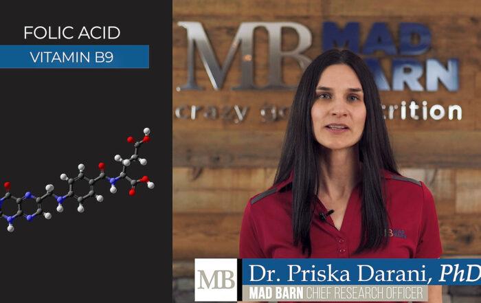 Folic Acid (Vitamin B9) For Horses – Equine Nutrition