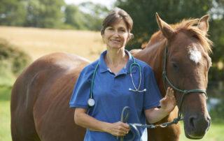 Free Fecal Water Syndrome in Horses