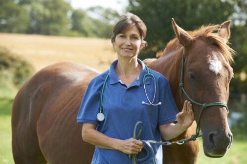 Free Fecal Water Syndrome in Horses