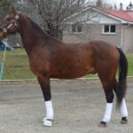 Lindsay Brunette - 2