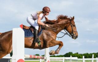 Antacid Supplements for Horses with Ulcers