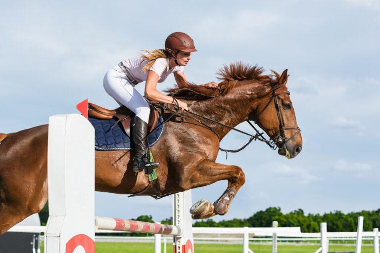 Antacid Supplements for Horses with Ulcers