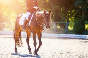 Omeprazole for Equine Gastric Ulcers: How it Works & Side Effects