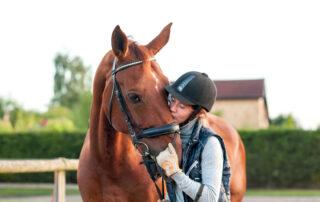 Ulcer Supplements for Horses