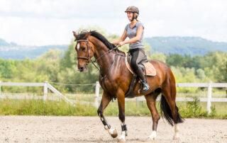 Vitamin Requirements for Horses