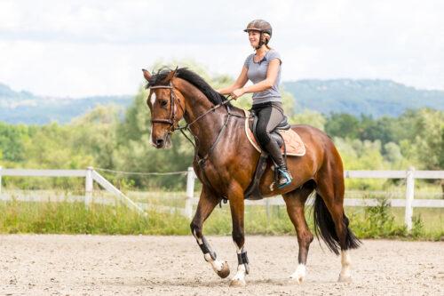 Vitamin Requirements for Horses