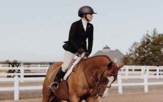 podcast-springen-equestrian-and-mad-barn